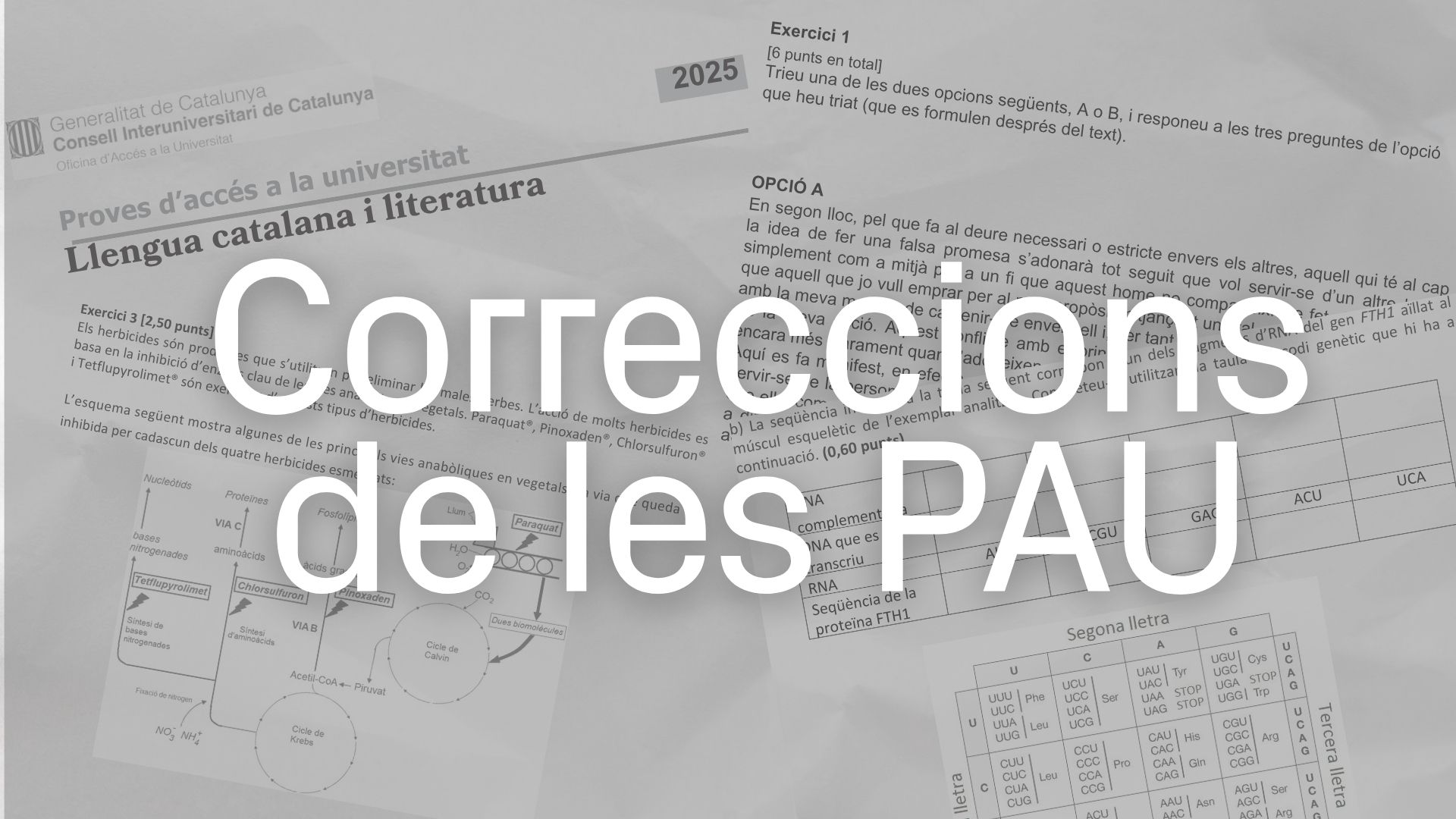 Изображение для новости о Барселона