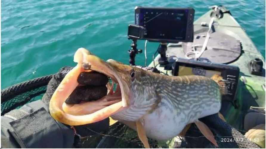 Изображение для новости о Валенсия