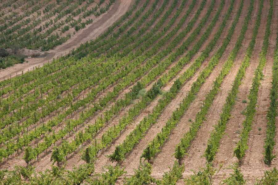 Изображение для новости о Валенсия