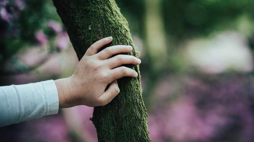 Изображение для новости о Таррагона