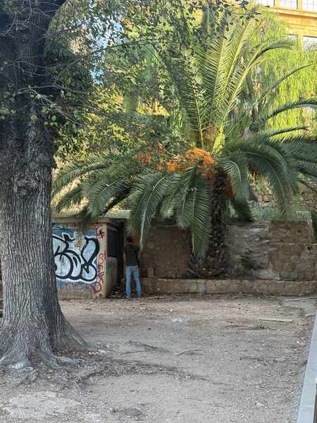 Изображение для новости о Таррагона