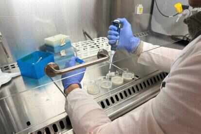 Изображение для новости о Таррагона