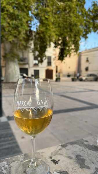 Изображение для новости о Таррагона