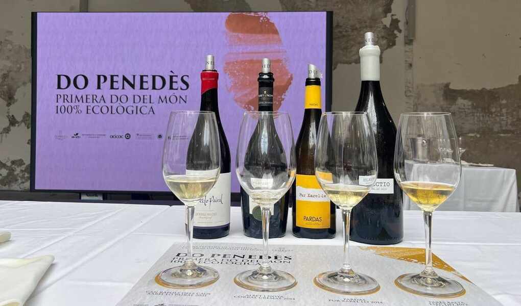 Изображение для новости о Таррагона