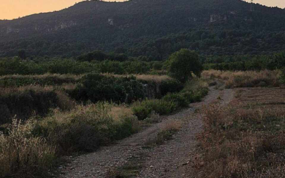 Изображение для новости о Таррагона