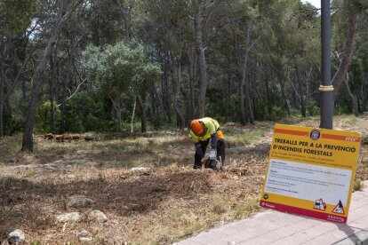 Изображение для новости о Таррагона