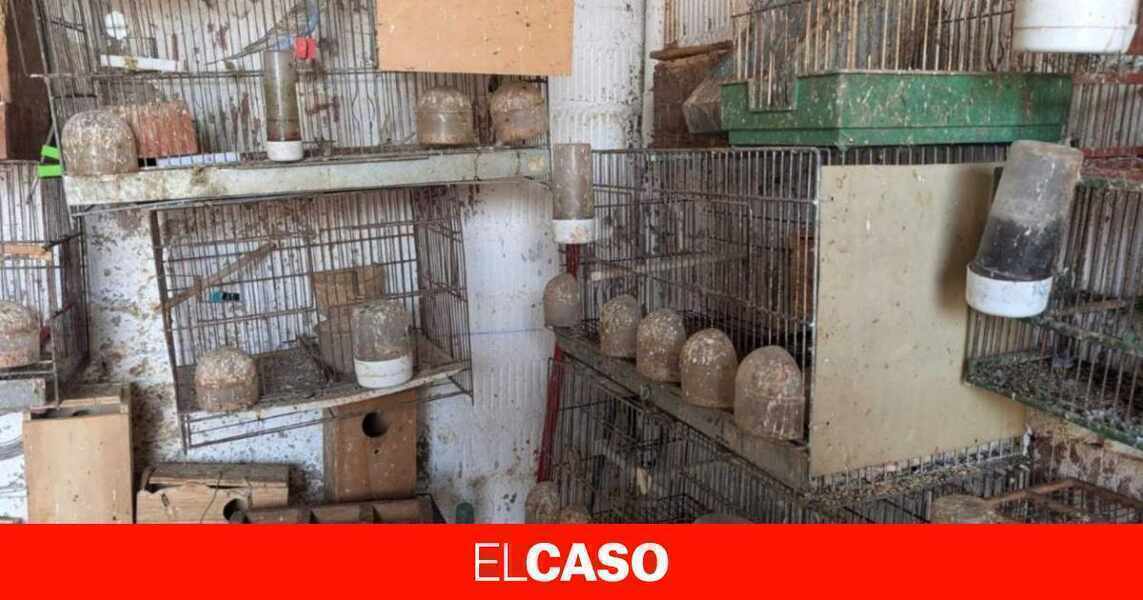 Изображение для новости о Барселона