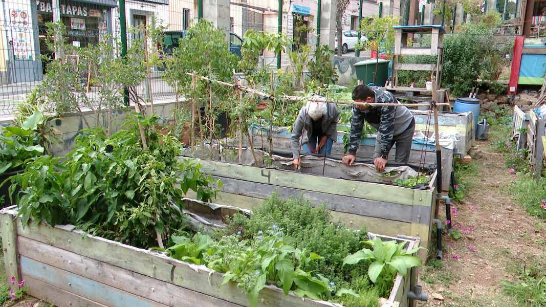 Изображение для новости о Барселона