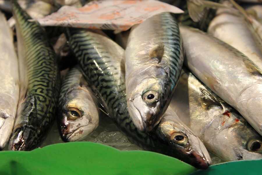 Изображение для новости о Барселона