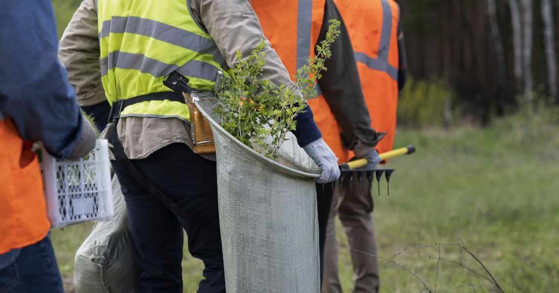 Изображение для новости о Таррагона