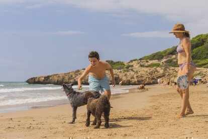 Изображение для новости о Таррагона