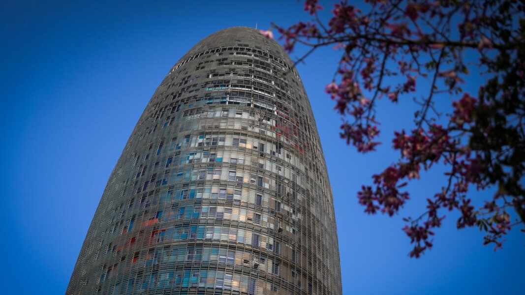 Изображение для новости о Барселона