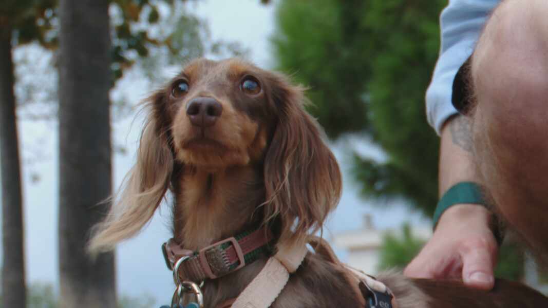 Изображение для новости о Барселона