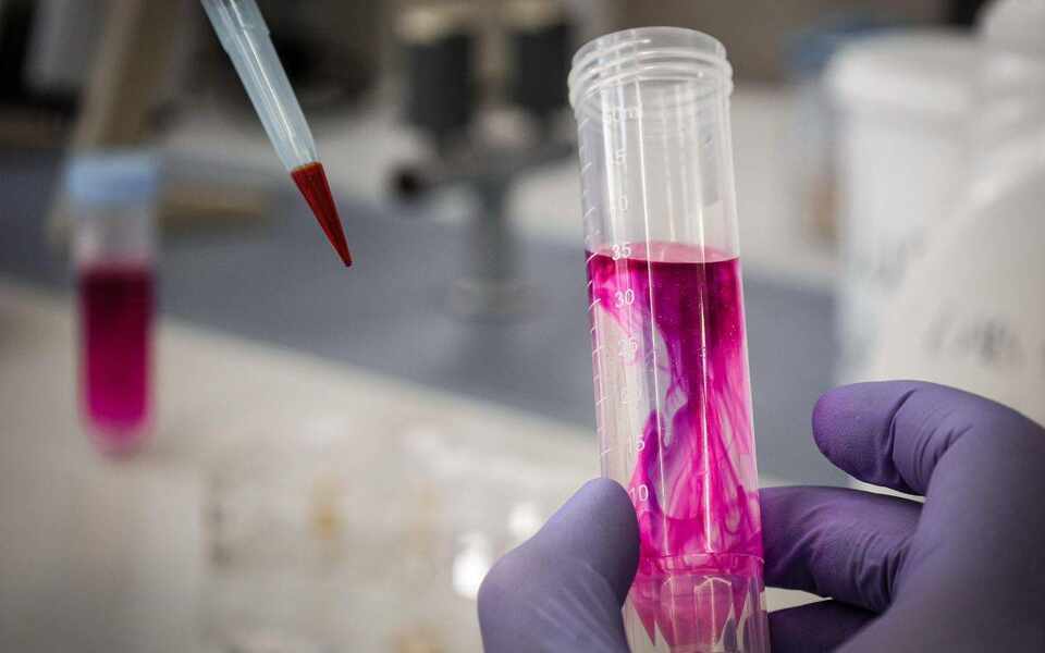 Изображение для новости о Таррагона