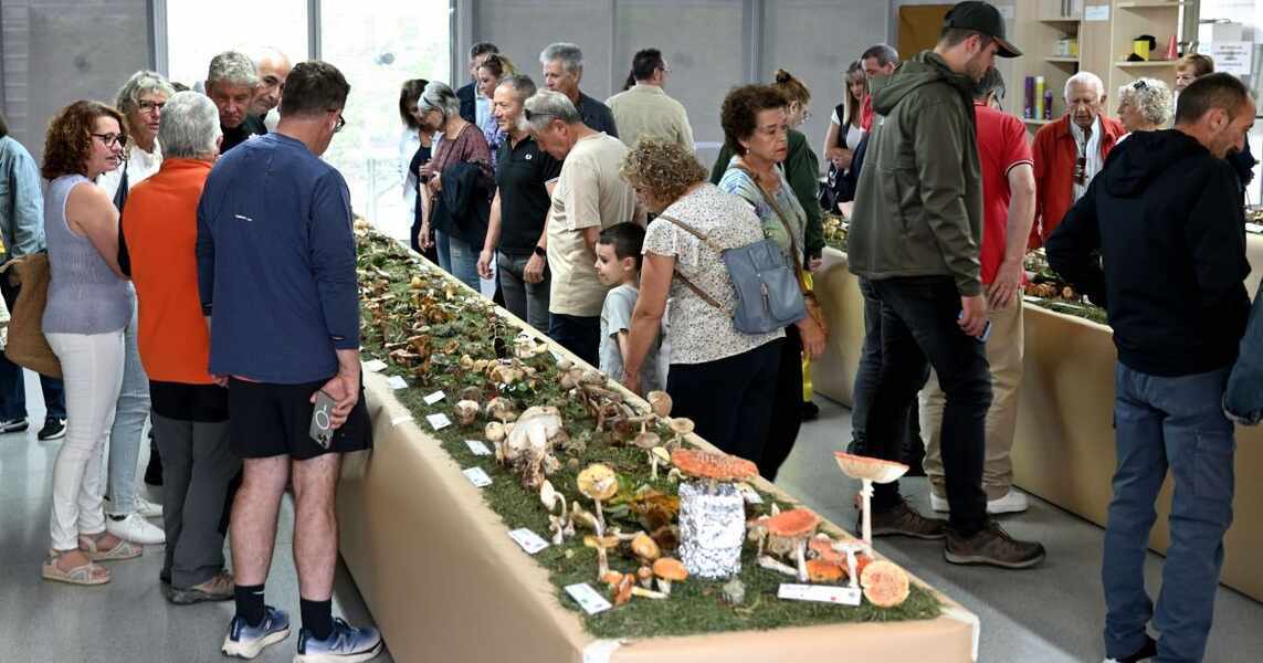 Изображение для новости о Таррагона