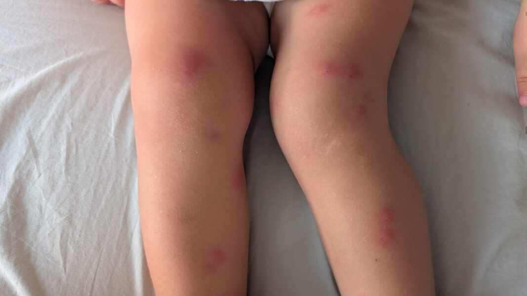 Изображение для новости о Барселона