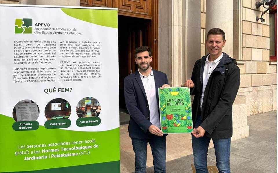 Изображение для новости о Таррагона