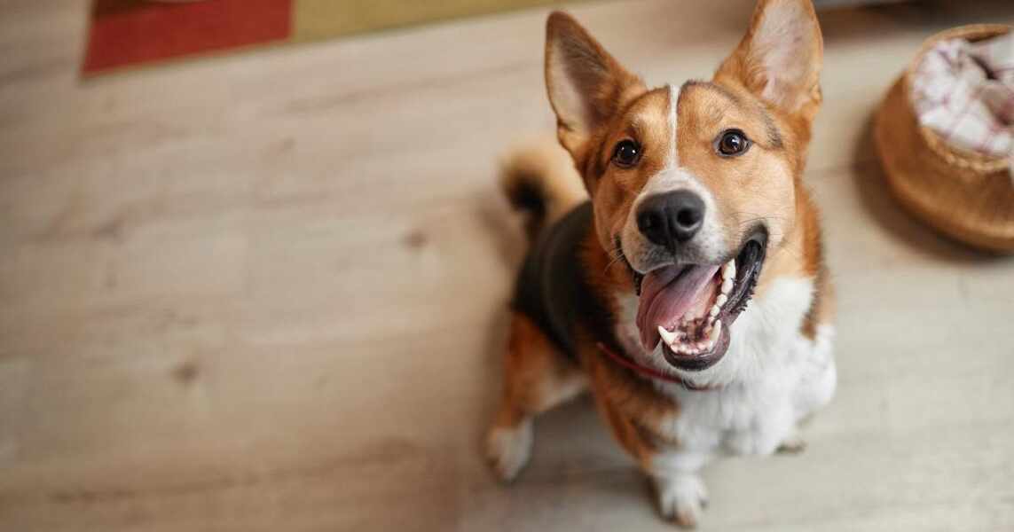 Изображение для новости о Таррагона