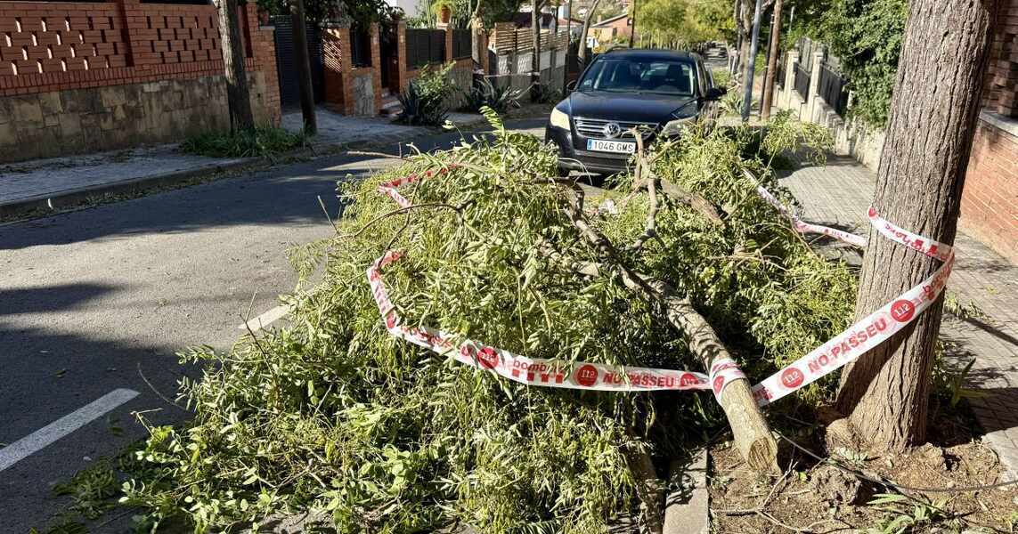 Изображение для новости о Таррагона