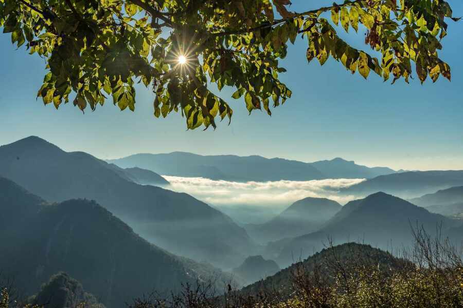 Изображение для новости о Барселона