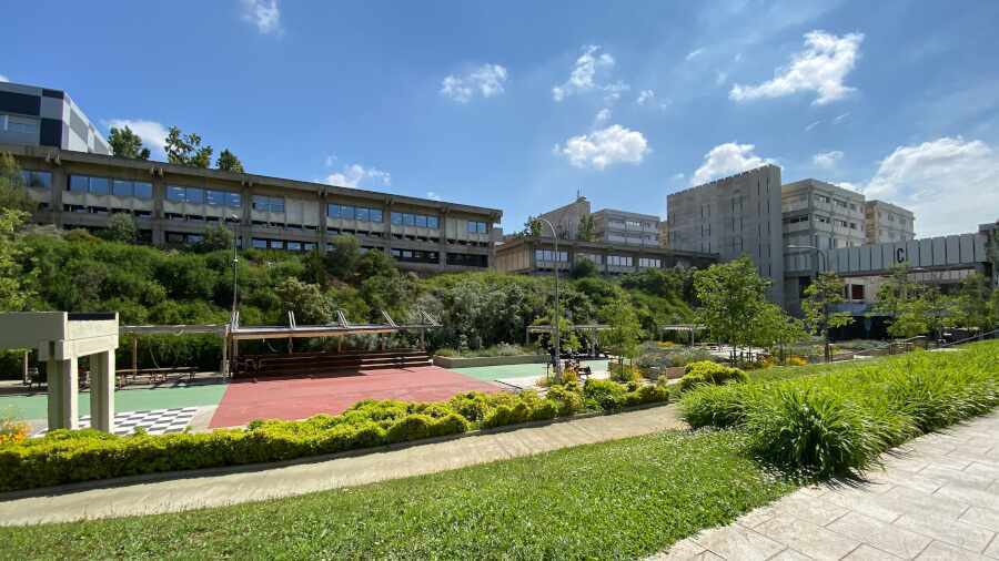 Изображение для новости о Барселона