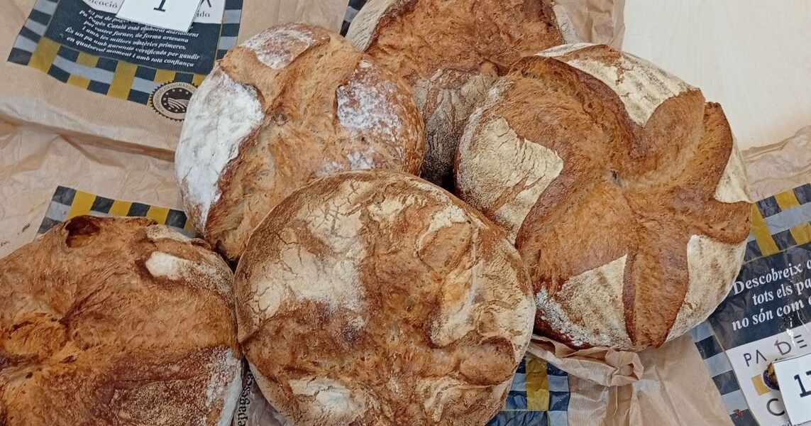 Изображение для новости о Таррагона