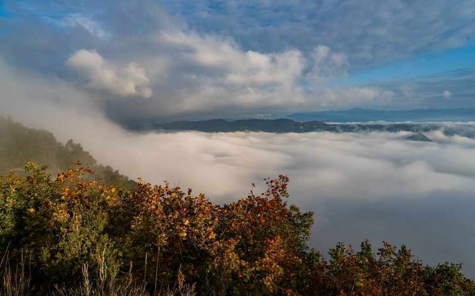 Изображение для новости о Барселона
