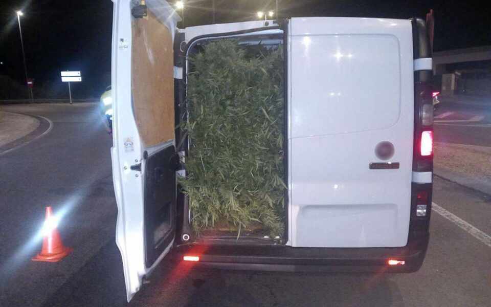 Изображение для новости о Таррагона