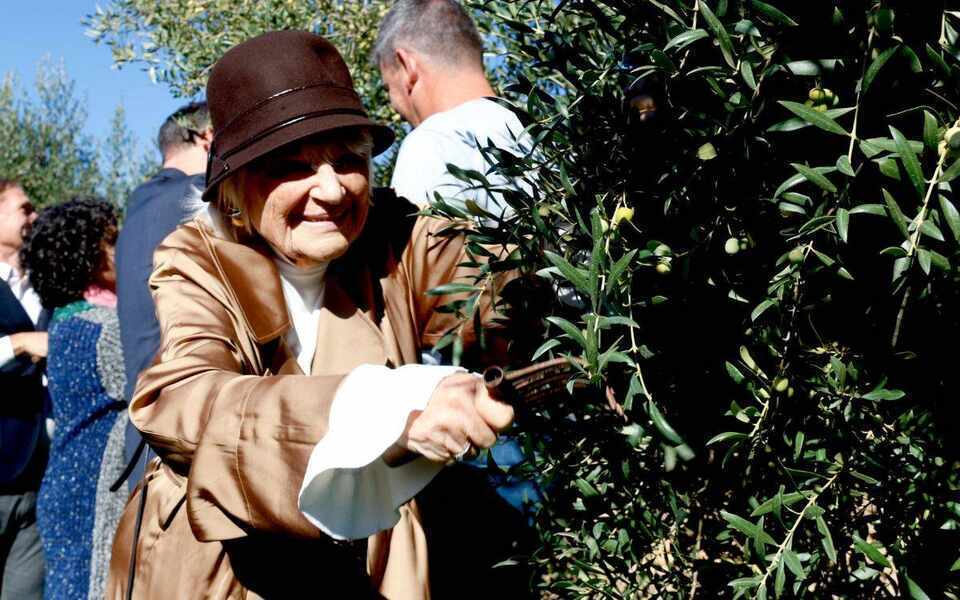 Изображение для новости о Таррагона