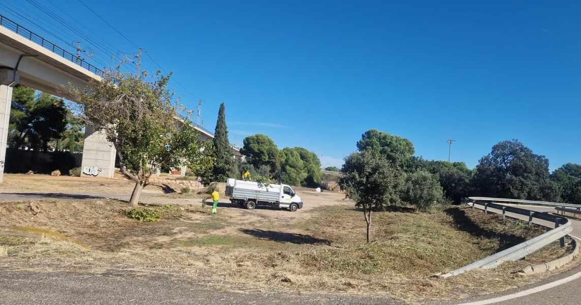 Изображение для новости о Таррагона