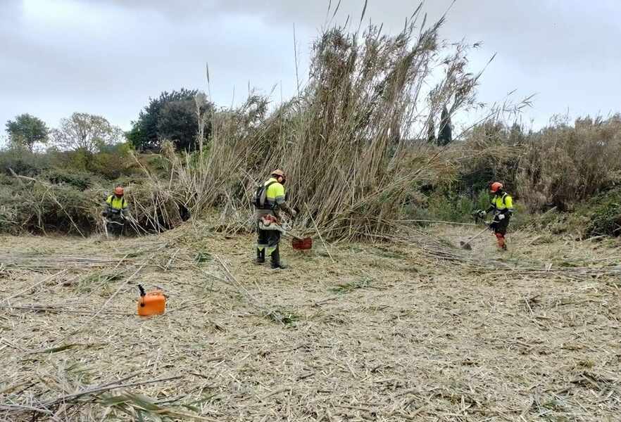 Изображение для новости о Таррагона