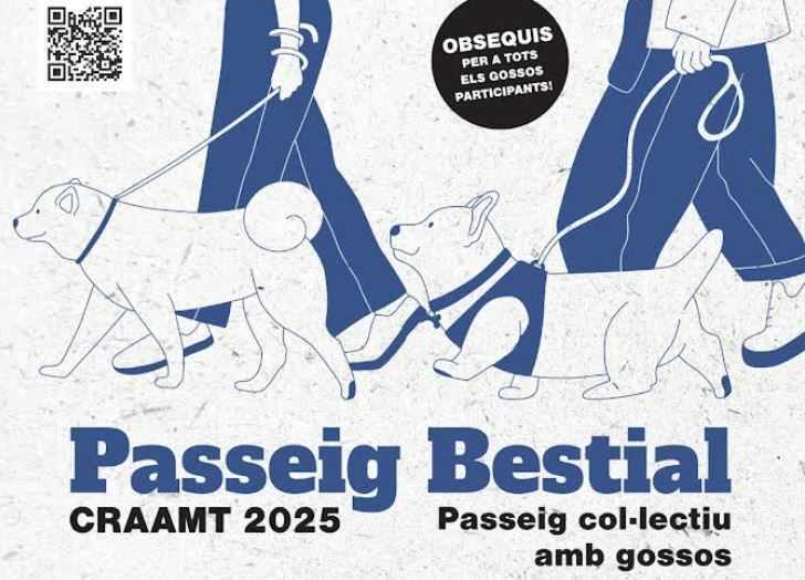 Изображение для новости о Таррагона