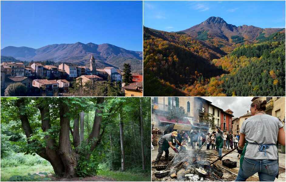 Изображение для новости о Таррагона