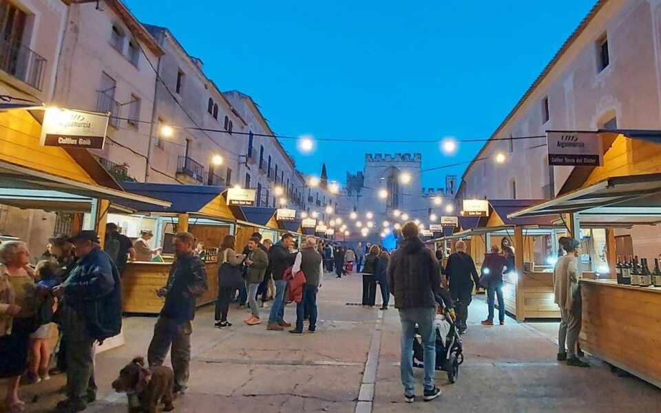 Изображение для новости о Таррагона