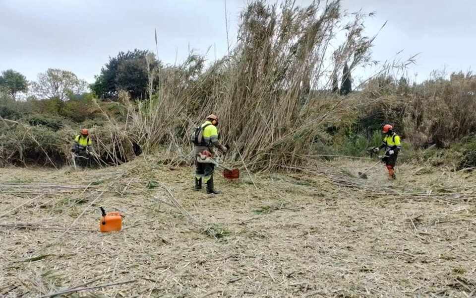 Изображение для новости о Таррагона