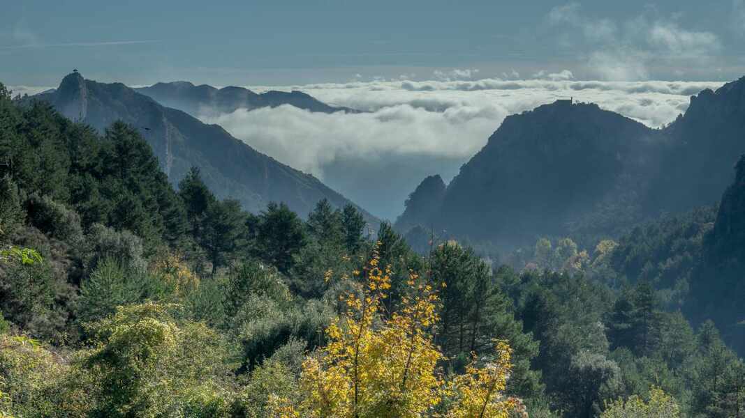 Изображение для новости о Барселона