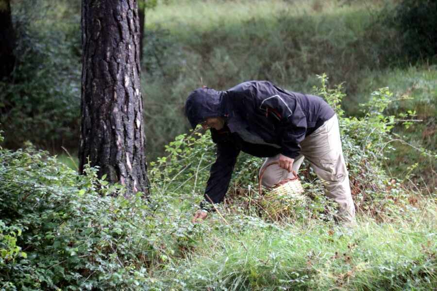 Изображение для новости о Таррагона