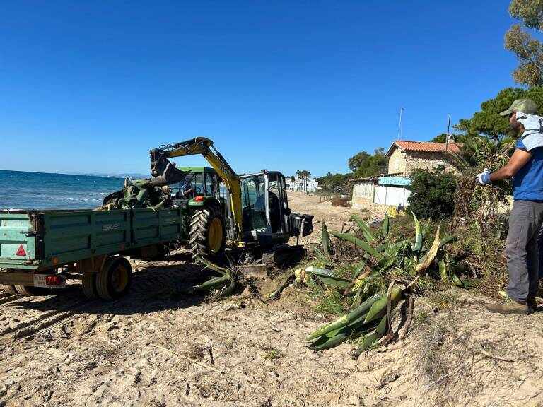 Изображение для новости о Таррагона