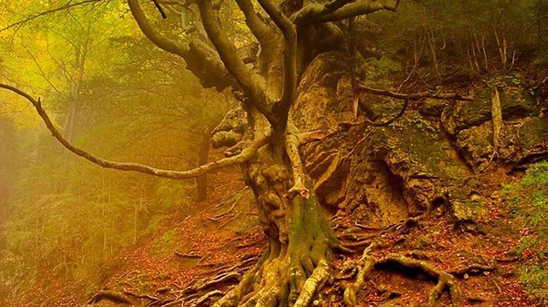 Изображение для новости о Барселона