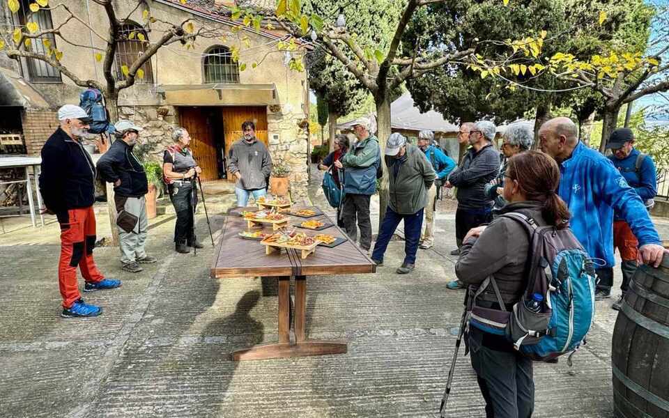 Изображение для новости о Таррагона