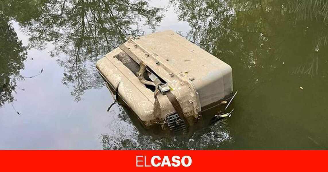 Изображение для новости о Барселона