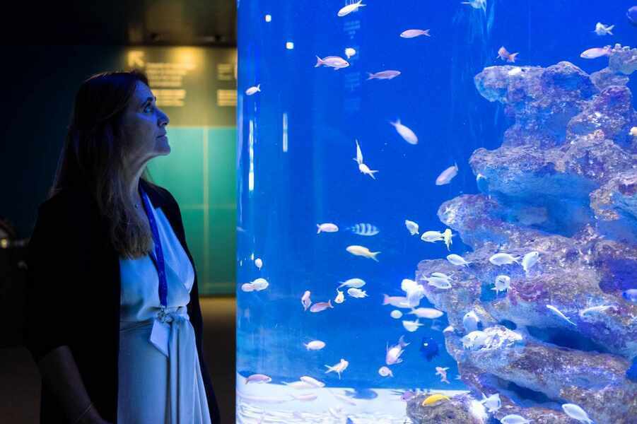 Изображение для новости о Барселона