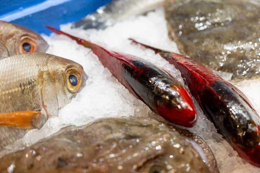 Изображение для новости о Таррагона