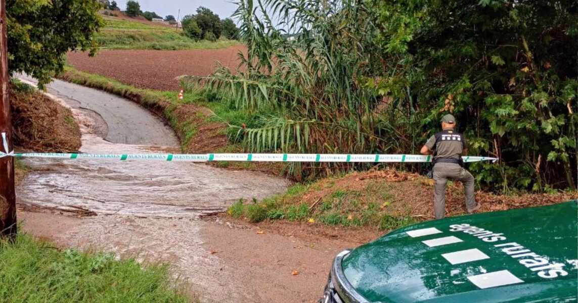 Изображение для новости о Таррагона