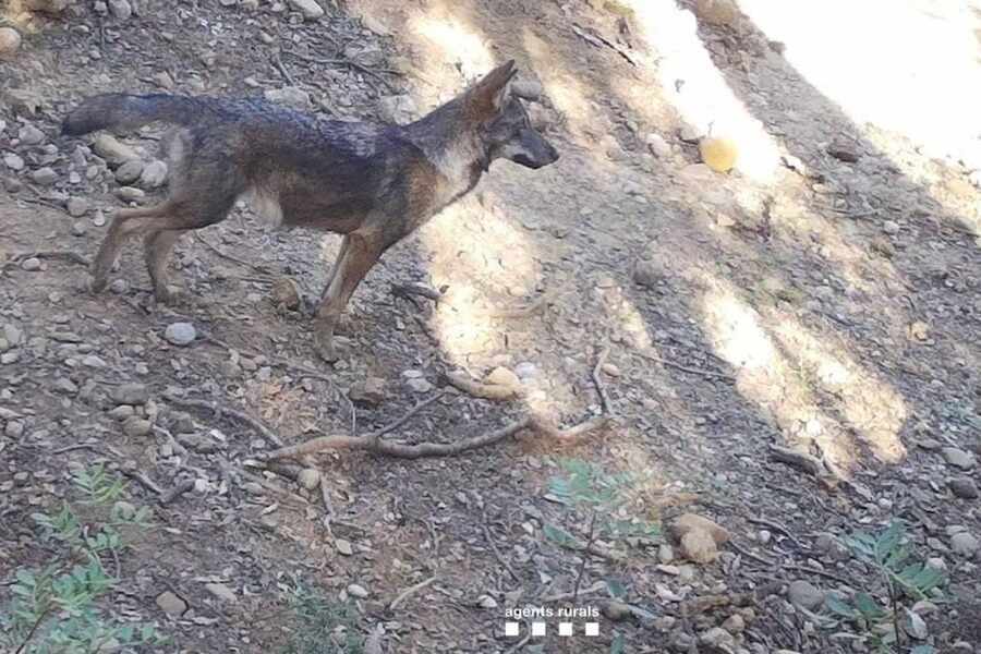 Изображение для новости о Таррагона