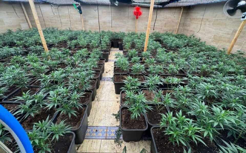 Изображение для новости о Таррагона