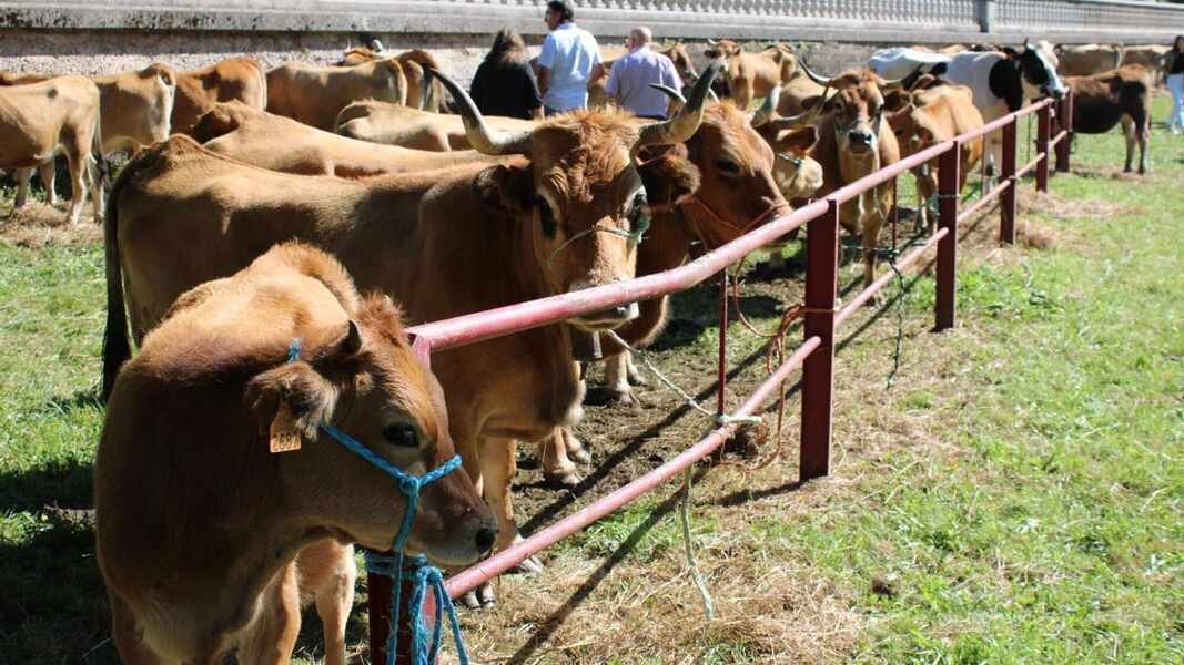 Изображение для новости о Астурия