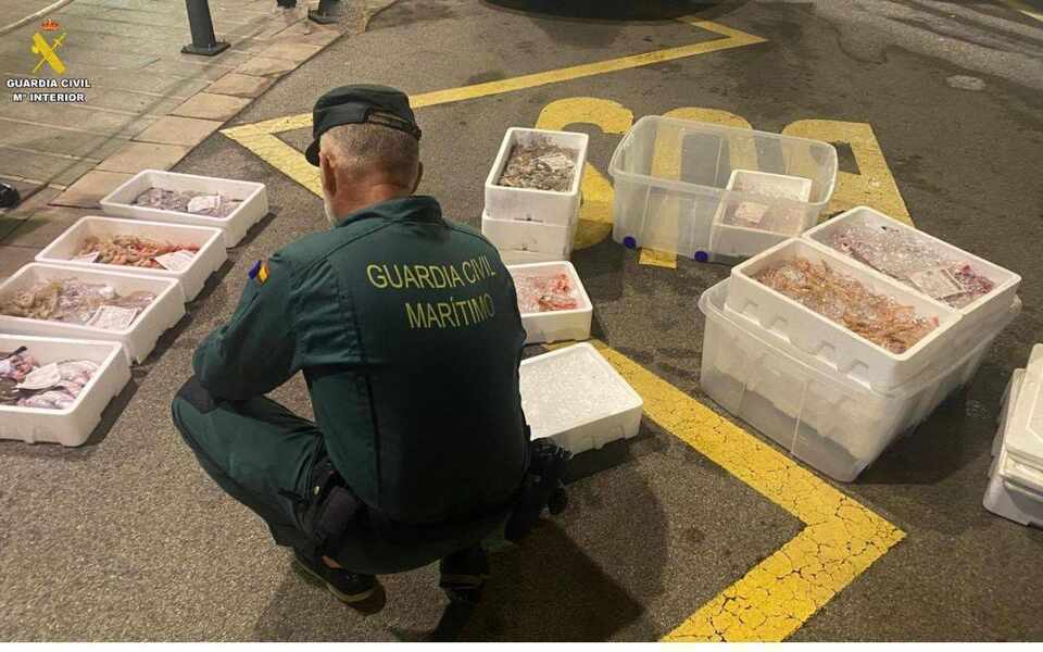 Изображение для новости о Таррагона