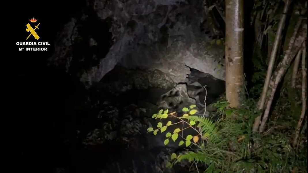 Изображение для новости о Астурия