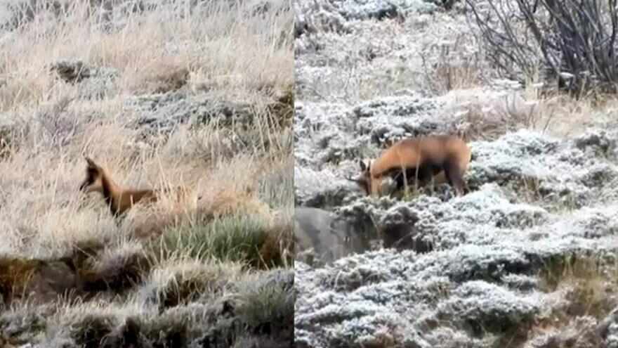 Изображение для новости о Астурия